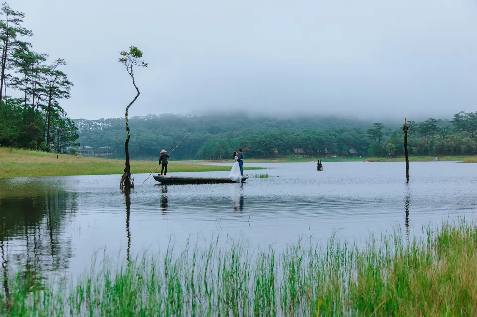 ngoai-canh-da-lat-sao-chep-204
